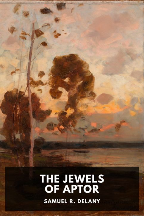 The Jewels of Aptor cover