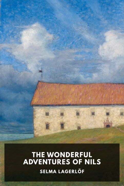 The Wonderful Adventures of Nils cover