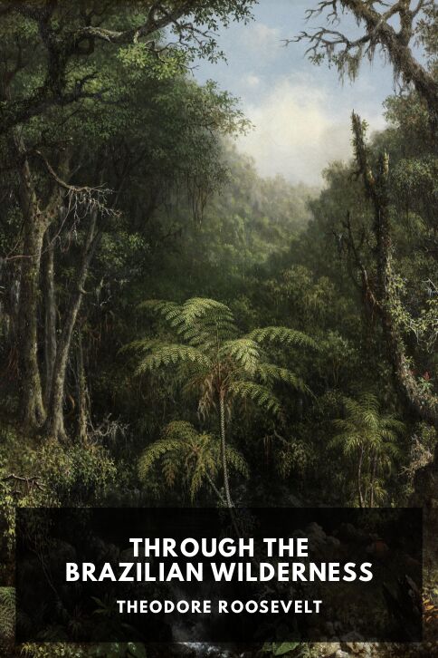 Through the Brazilian Wilderness cover
