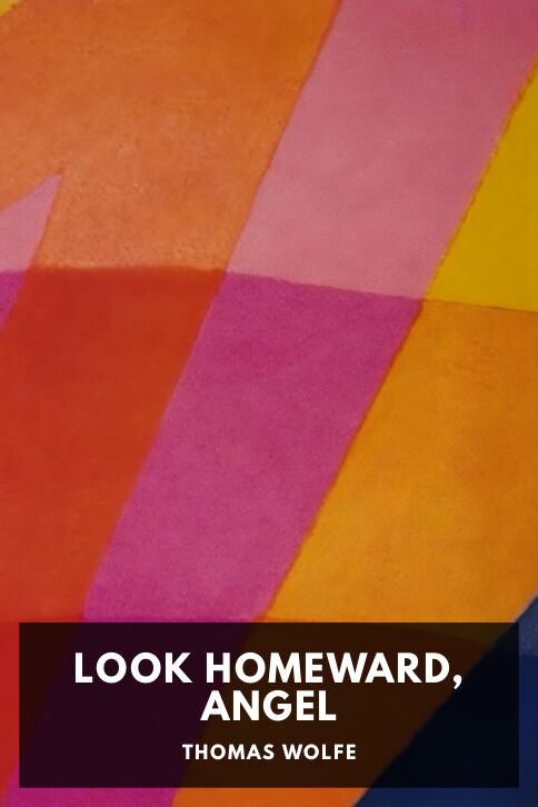 Look Homeward, Angel cover