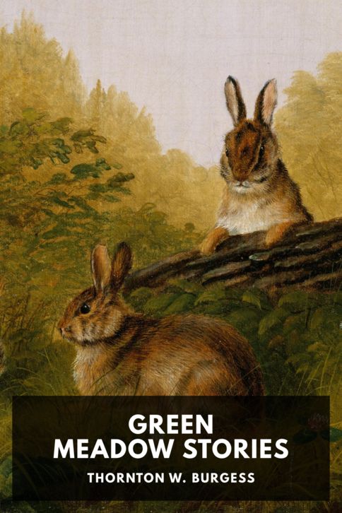 Green Meadow Stories cover