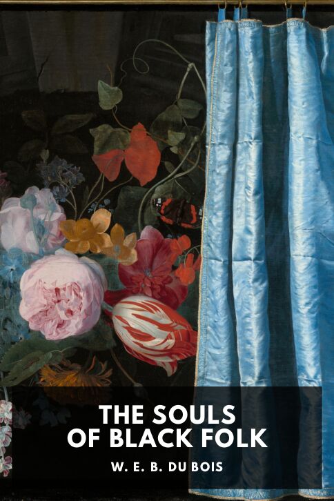 The Souls of Black Folk cover