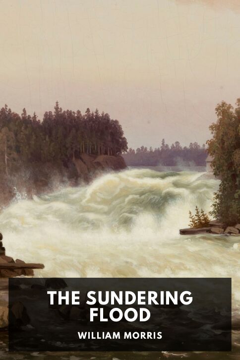 The Sundering Flood cover