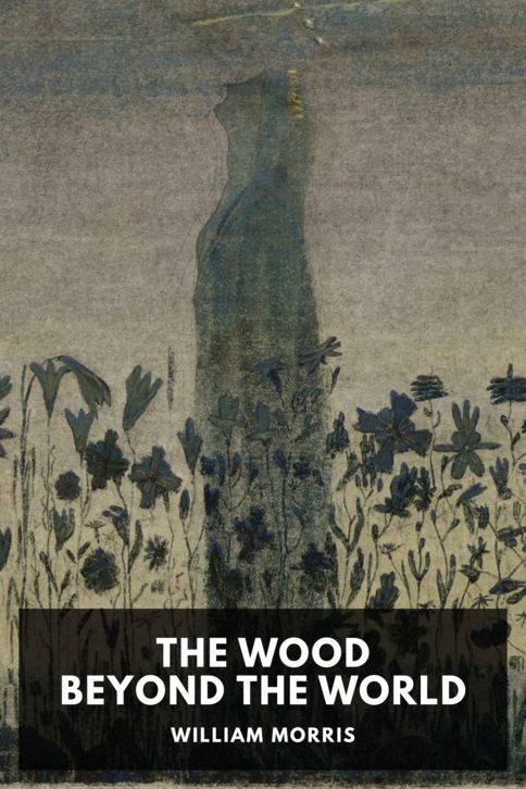 The Wood Beyond the World cover